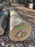 Grumes d'érable – 1 camion (50 stères) – PEFC
