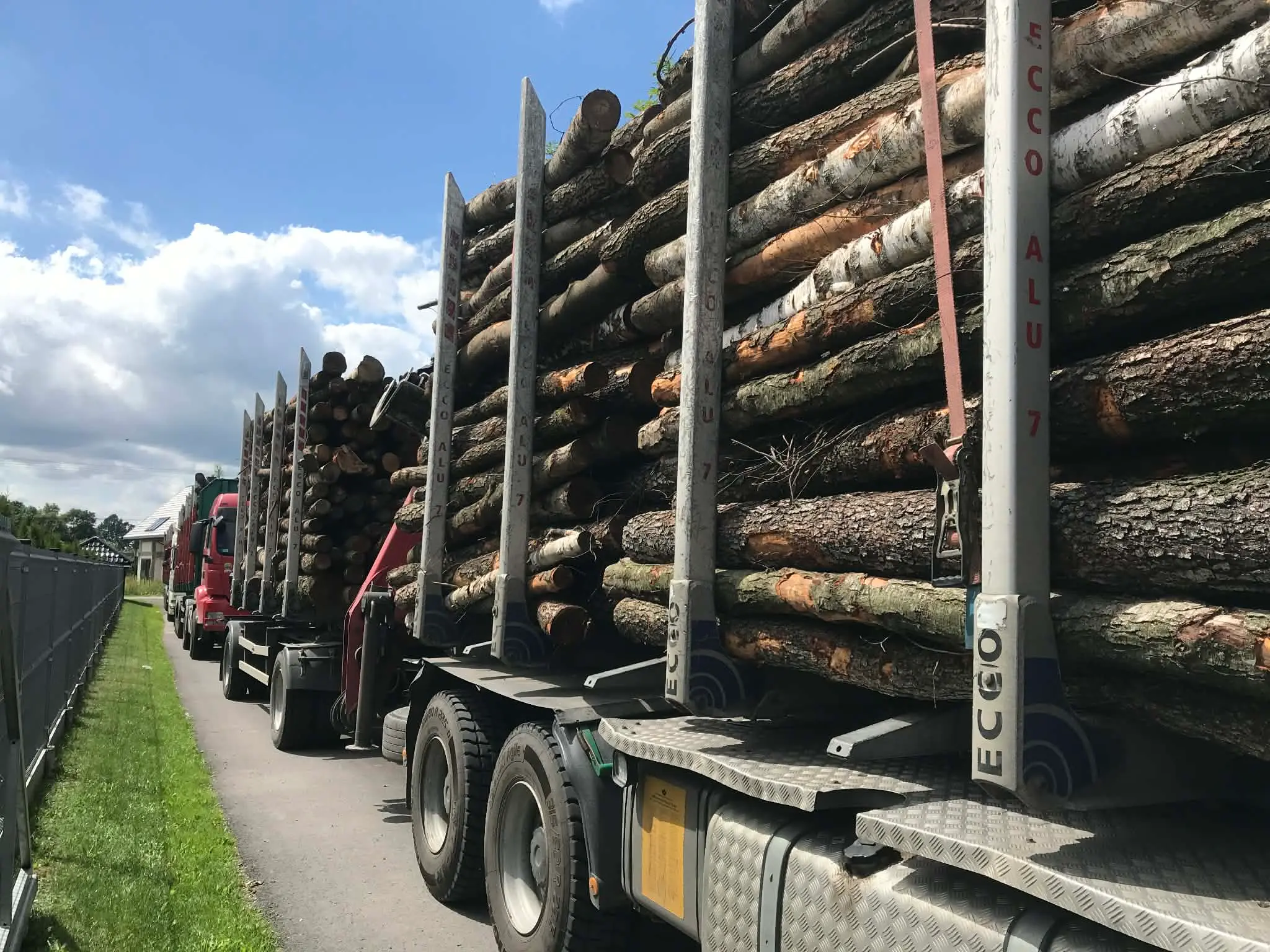 Grumes de bois en camion complet
