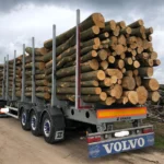 Grumes de résineux (mélange) – 1 camion (50 stères) – Certifié PEFC & FSC